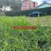 0.05 ha Commercial Land at Southern Bypass thumb 5