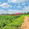 0.05 ha Residential Land at Kamangu thumb 10