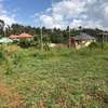 0.1 ha Residential Land in Kikuyu Town thumb 0