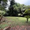 5 ac Land in Kitisuru thumb 11