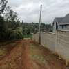0.25 ac Residential Land at Mhasibu Silver Birch Estate thumb 1