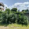 Residential Land at Shanzu thumb 7