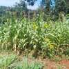1 Acre Prime Land for Sale in Muhoho - Gatundu South thumb 1