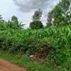 40*110 ft plots for sale at Kenol along Kagia road thumb 1