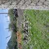 1 ACRE OF LAND IN SOFIA ESTATE HOMA BAY thumb 5