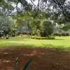 land for sale in Westlands Area thumb 8
