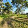 Residential Land in Nyali Area thumb 8