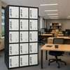 Office Cabinet: 15 Lockers Metallic Professional Cabinet thumb 0