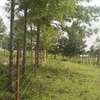 500 m² Residential Land in Ngong thumb 12