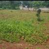 0.5 ac Land at Kiukenda Estate thumb 16