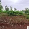 0.5 ac Residential Land at Muthaiga North thumb 3