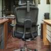 Office Chair; Orthopedic High Back Reclining Office Chair thumb 1