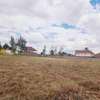 Prime Plot For Sale in Syokimau thumb 1