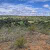 10 ac Land in Nanyuki thumb 0