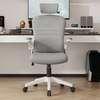 Ergonomic Mesh Office Chair with Headrest thumb 0
