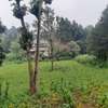 10 Acres Prime Land for Joint Venture in Thindigua Kiambu thumb 1