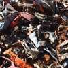 Scrap Purchase Company - Scrap Metal Buyer Nairobi Kenya thumb 14