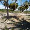20-Acre Beach Plot For Sale in Kikambala thumb 6