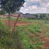Prime 70 by 100 ft plot for lease in Gikambura Kikuyu thumb 7
