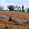 Hot Deal: 50x100 Plots Kilifi Mtamboni– Malkia Phase 1 thumb 2
