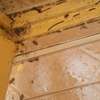 Fumigation Services thumb 0