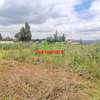 0.125 ac Residential Land at Migumoini thumb 4
