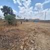 1/8 Acre Land For Sale in Ruai area, Shujaa thumb 4
