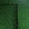 ARTIFICIAL GRASS CARPET thumb 12
