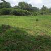 Lovely One Acre in Karen thumb 10
