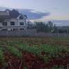 Residential Land at Adjacent To Muhasibu Estate thumb 14