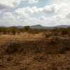 130 Acres of Land For Sale in Ngatataek - Old Namanga Rd thumb 1