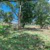 0.5 ac Residential Land in Karen thumb 3