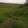 1 acre, beautiful land olooloitikosh thumb 1