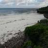Land in Mombasa CBD thumb 3