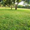 LAND FOR SALE ON THE CREEK. thumb 7