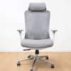 Executive Chairs : Orthopedic Executive Office Chair thumb 3