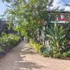 Elegant 5 Bedroom Townhouse for Sale in Kyuna thumb 11