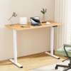 Adjustable table: 120cm adjustable electric home office desk thumb 0