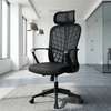 Executive Chairs : High-back Executive Office Chair thumb 2