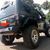 Jeep Rubicon on hot sale thumb 9