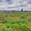 0.125 ac Residential Land at Migumoini thumb 15