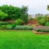 Best Gardening & Landscaping in Nairobi. Contact Bestcare Gardeners and Gardening Services. thumb 13