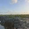 1 m² Residential Land at Kilifi thumb 12