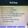 Fumigation and Pest control Services thumb 0