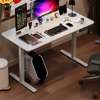 OFFICE DESK: White Electrical Standing Desk thumb 5
