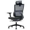 Office Chair: Orthopedic Mesh Seat thumb 4