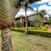5 Bed House with Garden in Nyari thumb 23