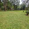 4 Bed Apartment with En Suite in Riverside thumb 2