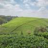 20 ac Land at Riara Ridge thumb 3