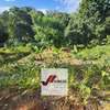 0.5 ac Land in Parklands thumb 2